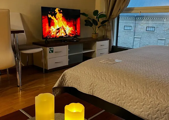 Charming Flat Next To Old Town And Harbor 公寓 塔林